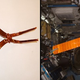 Image for article titled Astronauts Have Done So, So Much With Duct Tape And Electrical Tape